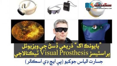 Photo of "بايونڪ اک” ذريعي ڏِسڻ جي ويزيوئل پراسٿيسز Visual Prosthesis ٽيڪنالاجي